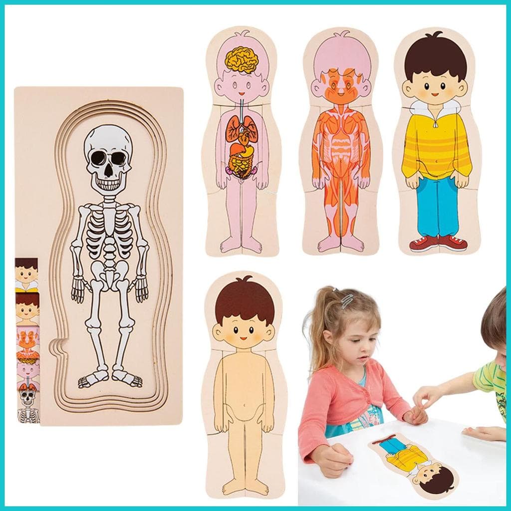 Partes Do Corpo De Madeira Quebra-Cabeça Aprender Peças Brinquedos Educativos Órgãos Humanos Reconhecimento Brinquedo An