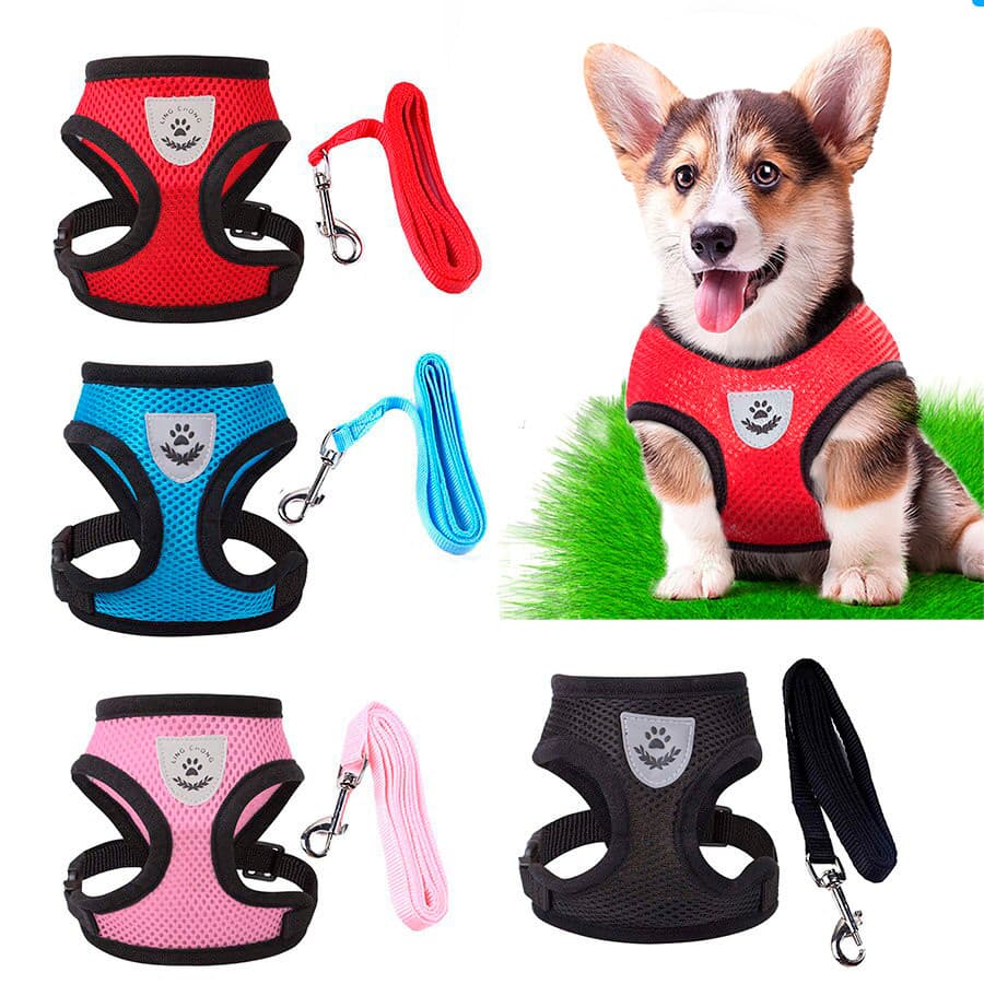 Coleira Peitoral Com Guia para Cães E Gatos Colete Respirável Regulável Super Confortável  yuri