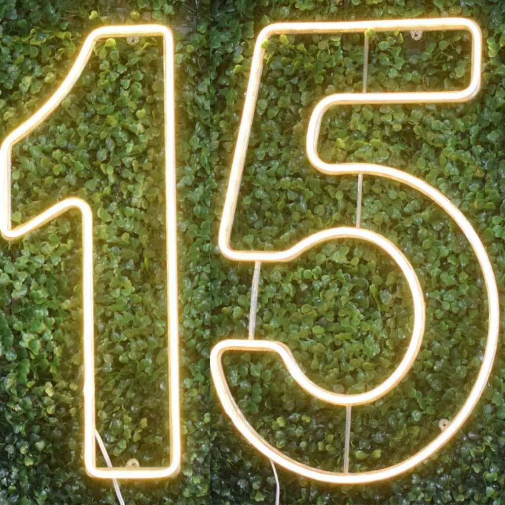 Luminária led neon - Kit Números 1 e 5 decoração 30cm e 50cm altura aniversário 15 anos