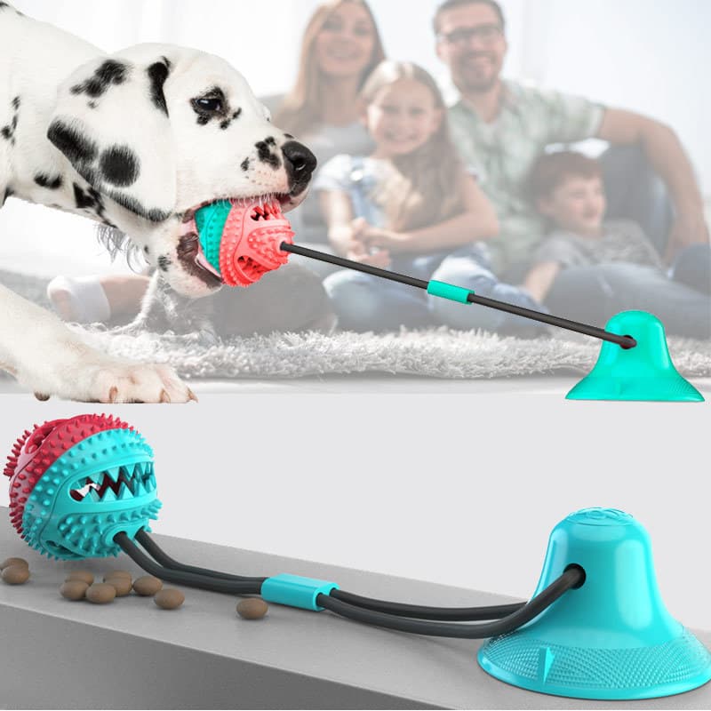 Brinquedo de cachorro com ventosa, brinquedo de cabo de guerra para cachorro, bola Molar de comida com vazamento, brinqu
