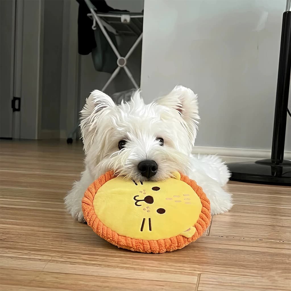 Brinquedo para cães: frisbee para morder, resistente, para treinamento, com som, interativo para cachorros, para entrete