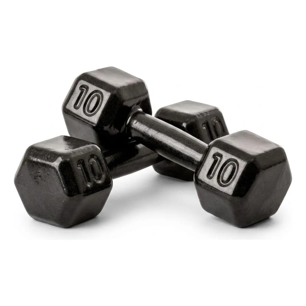 Kit 2 Halter 10Kg (Par) Halter Anilha Peso Academia Musculação Crossfit Funcional Fisioterapia Muscular Força Exercicos