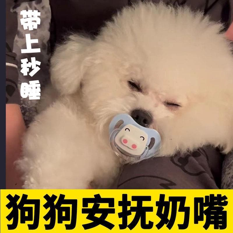 Bichon Dog Dedicado Chupeta para Cachorro Filhote de Cachorro Necessidades Diárias Pet Molar Brinquedo Pequeno Teddy Fil