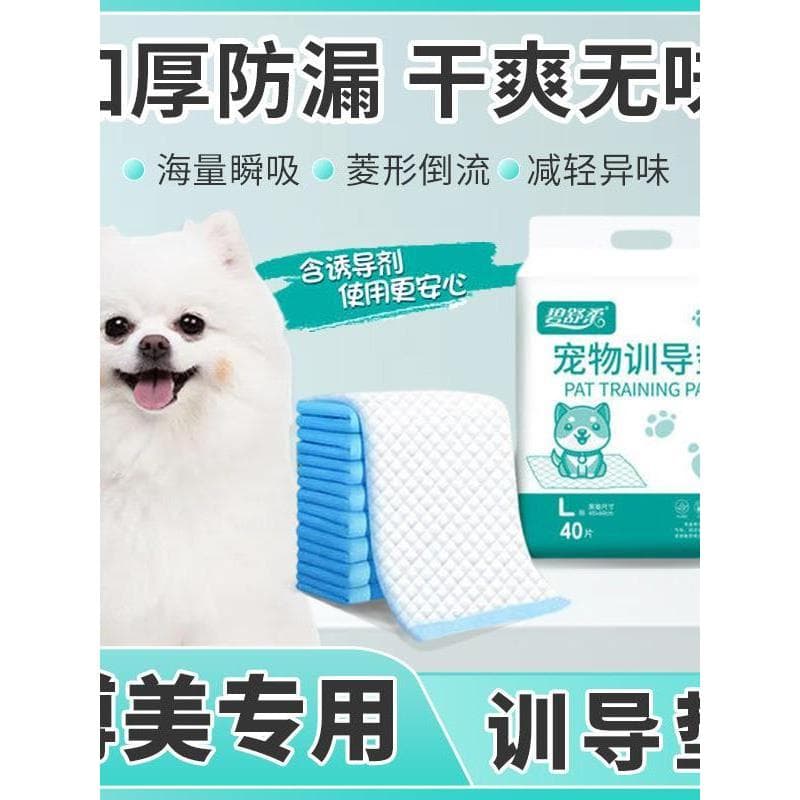 Pomeranian dedicado cão treinamento fralda almofada descartável Pet engrossado absorção de água desodorante fralda trein