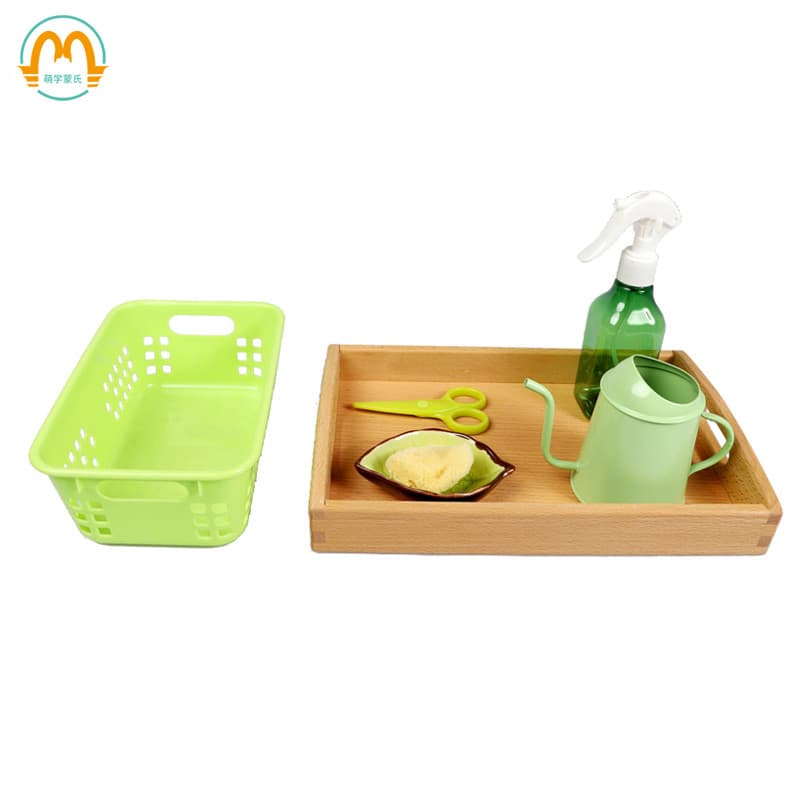 Montessori brinquedos educativos montessori auxiliares educativos pacote familiar cuidados planta montessori sala de aul