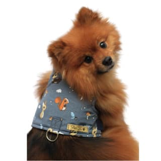 Coleira Peitoral Pet com cão Guia coleira Teodoro passeio roupinha cachorro tecido
