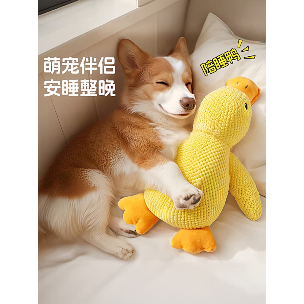 Brinquedo para cachorro, filhote de cachorro, alívio do tédio, ferramenta útil, pequeno pato amarelo, voz, Molar, resist