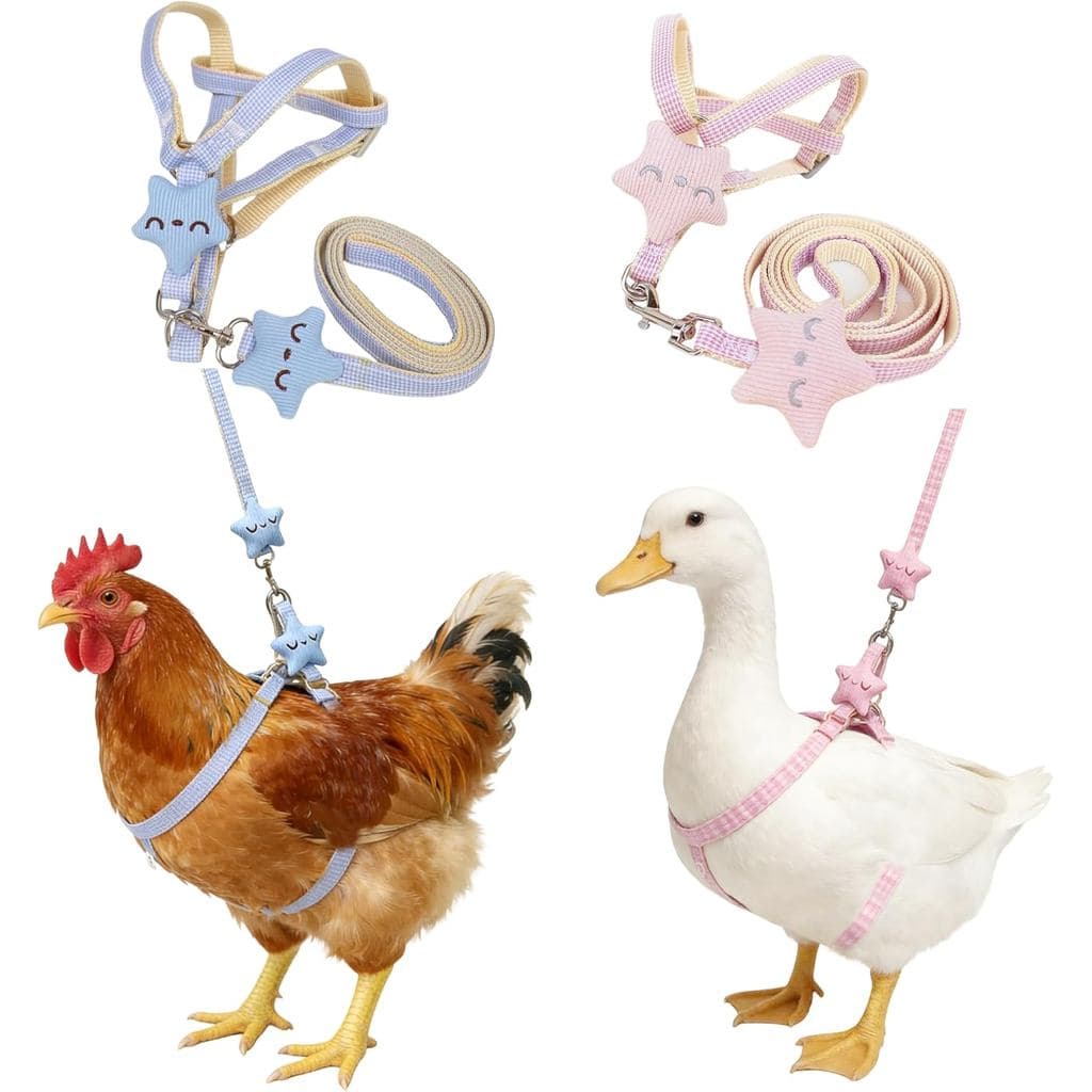 Conjunto de 2 Peças de Coleira e Guia Ajustáveis para Galinhas, Coleira e Guia Confortáveis para Patos Reais, Colete par