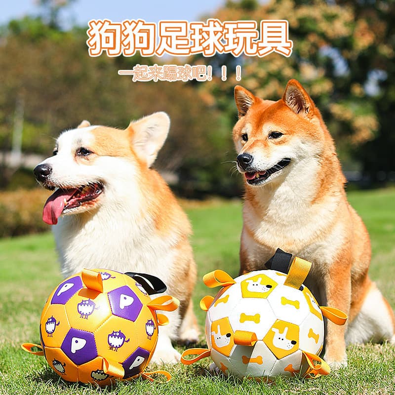 Bola de brinquedo para cachorro, brinquedo autocurativo de pelúcia, Labrador, Corgi, treinamento dedicado, futebol de ca