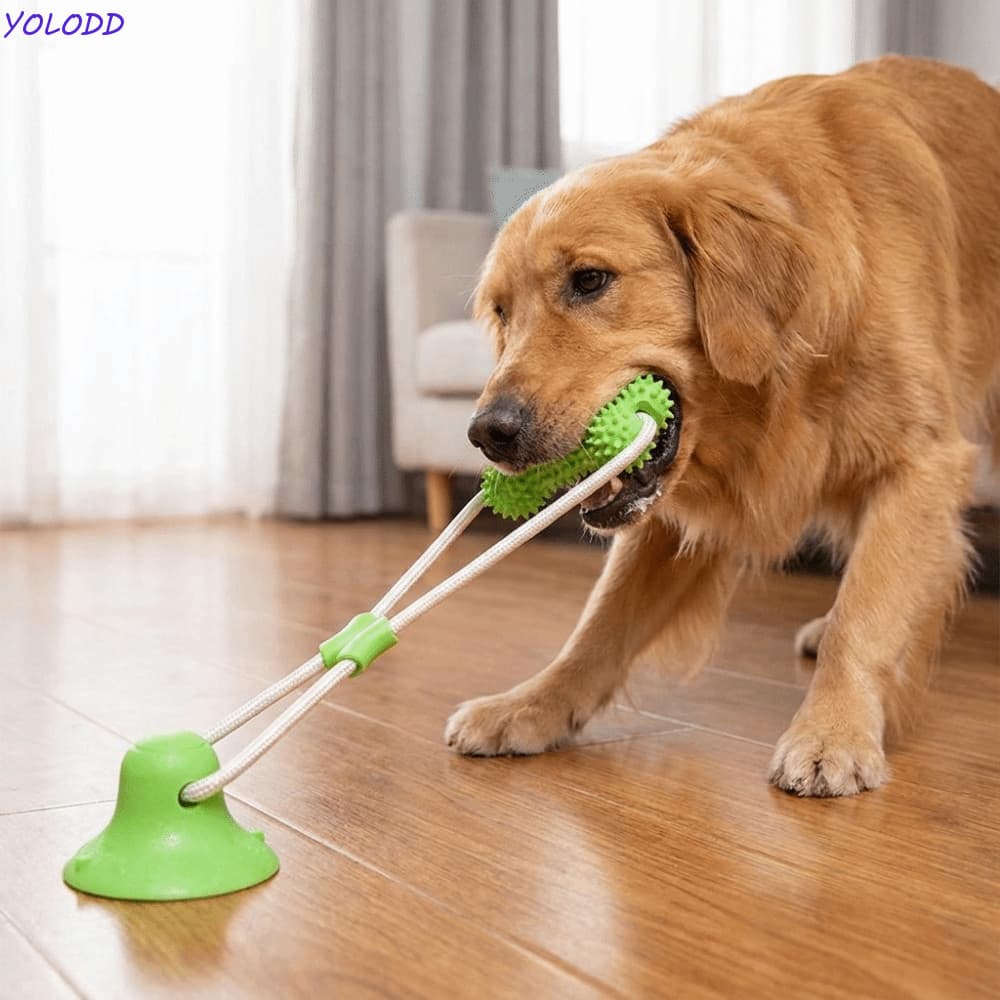 YOLODD Brinquedo De Mastigar Para Cachorro , Elástico Resistente À Mordida Moagem De Dentes De Ventosa , Brinquedos Inte