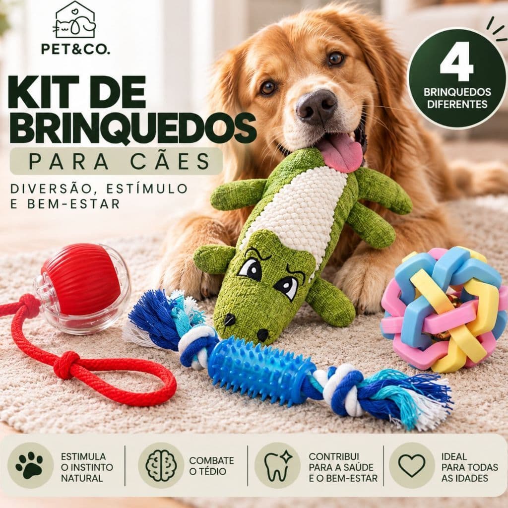 Kit de Brinquedos para Cães com Pelúcia Bolinhas e Corda 4 Brinquedos para Cachorro Pet&Co