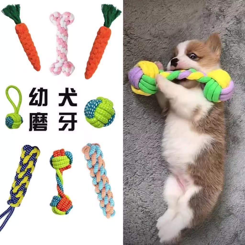 Brinquedo para cachorro Molar resistente à mordida nó bola trançada filhote de cachorro Teddy Bichon Corgi aliviar o téd