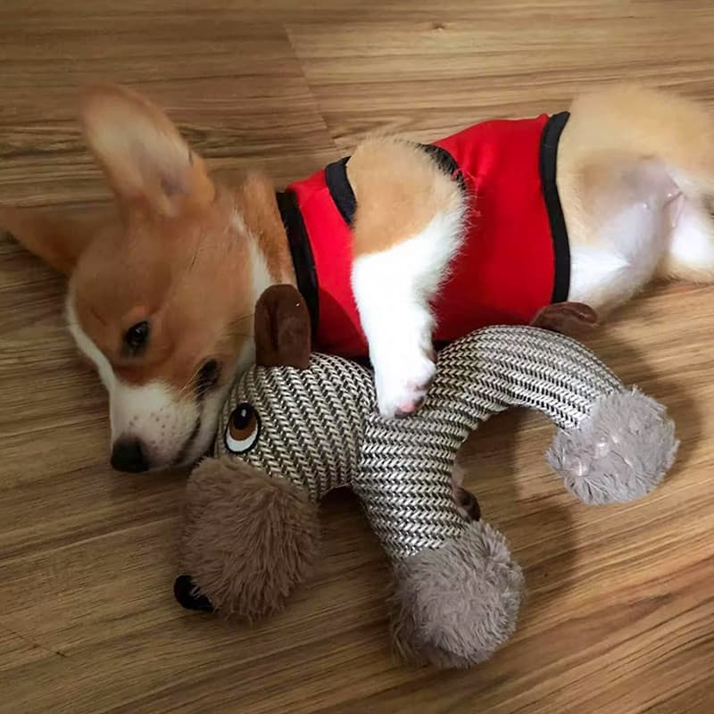 Brinquedo para cachorro, alívio de voz, tédio, Corgi, filhote de cachorro, Molar, resistente à mordida, animal de estima