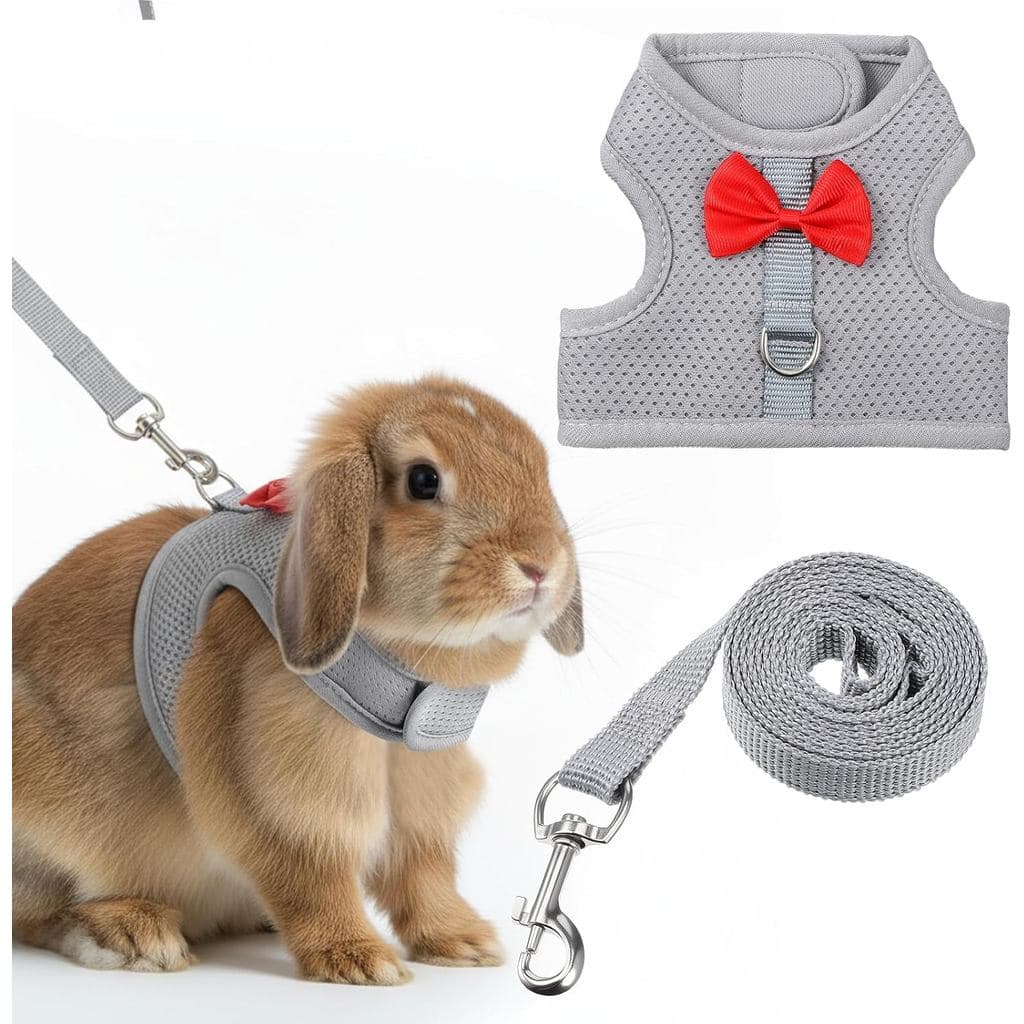 Conjunto de Coleira e Guia para Coelhos, Colete de Coelho com Laço Fofo, Conjunto de Coleira e Guia de Malha Macia e Res