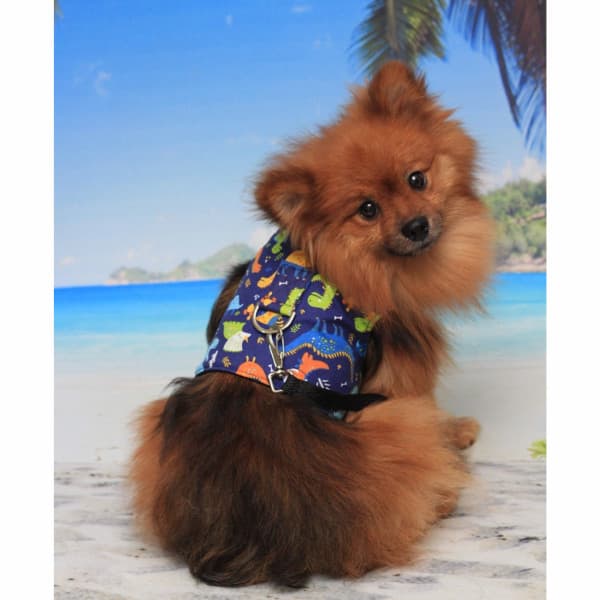 Coleira Peitoral Pet com Guia Dino coleira cão cachorro cães gatos roupinhas passeio