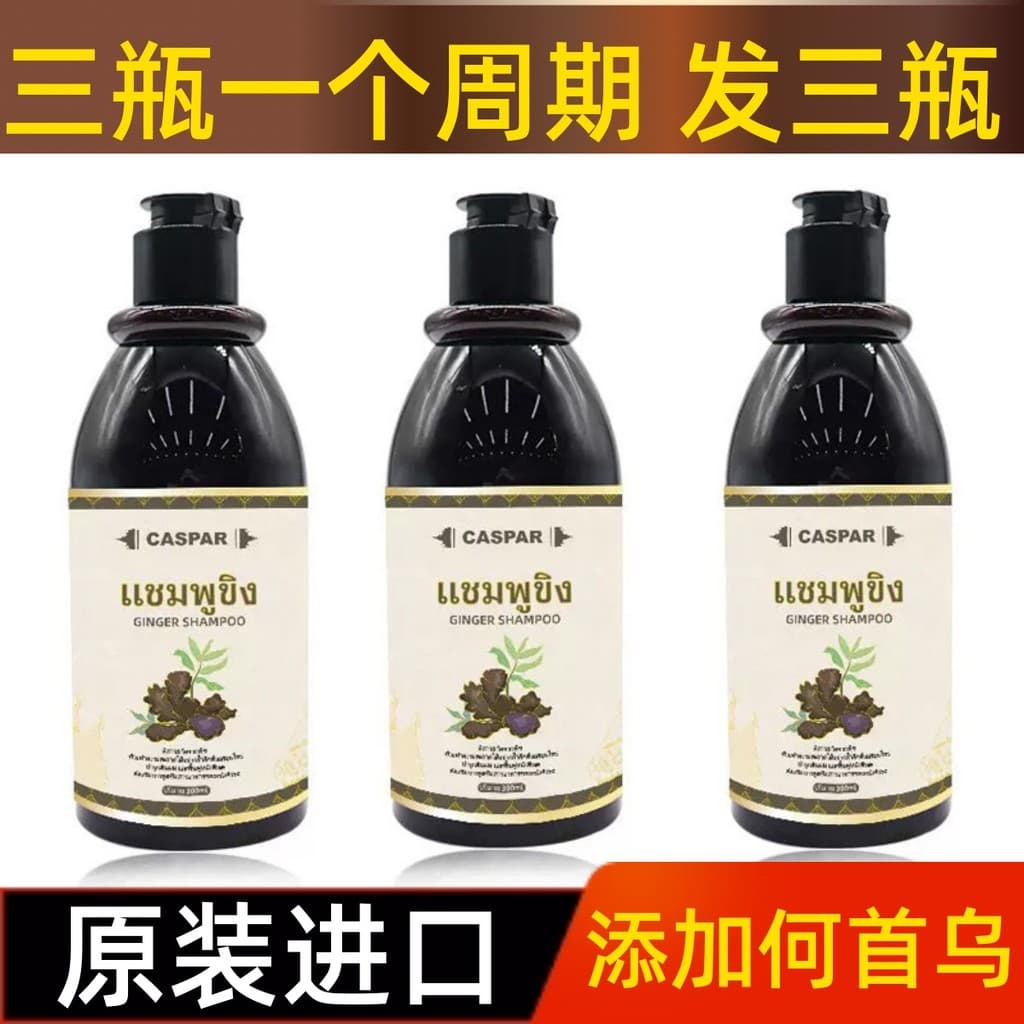 Tailândia importou Polygonum Multiflorum caspar Shampoo de gengibre preto controle de óleo limpo cabelo fofo hidratante 