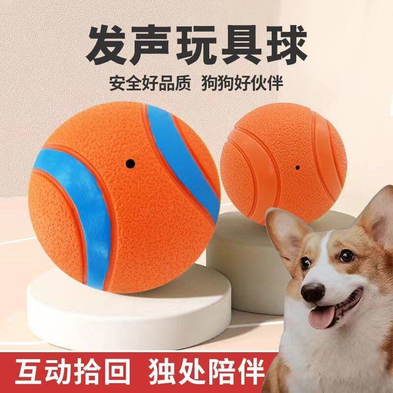 Brinquedo para cachorro, bola de borracha, bola oca, brinquedo para cachorro, não pode morder, brinquedo de bola Molar p