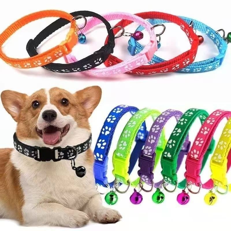 Conjunto de coleira e guia para gatos e cães, com corda de pés, guia para animais de estimação, anti-fuga.