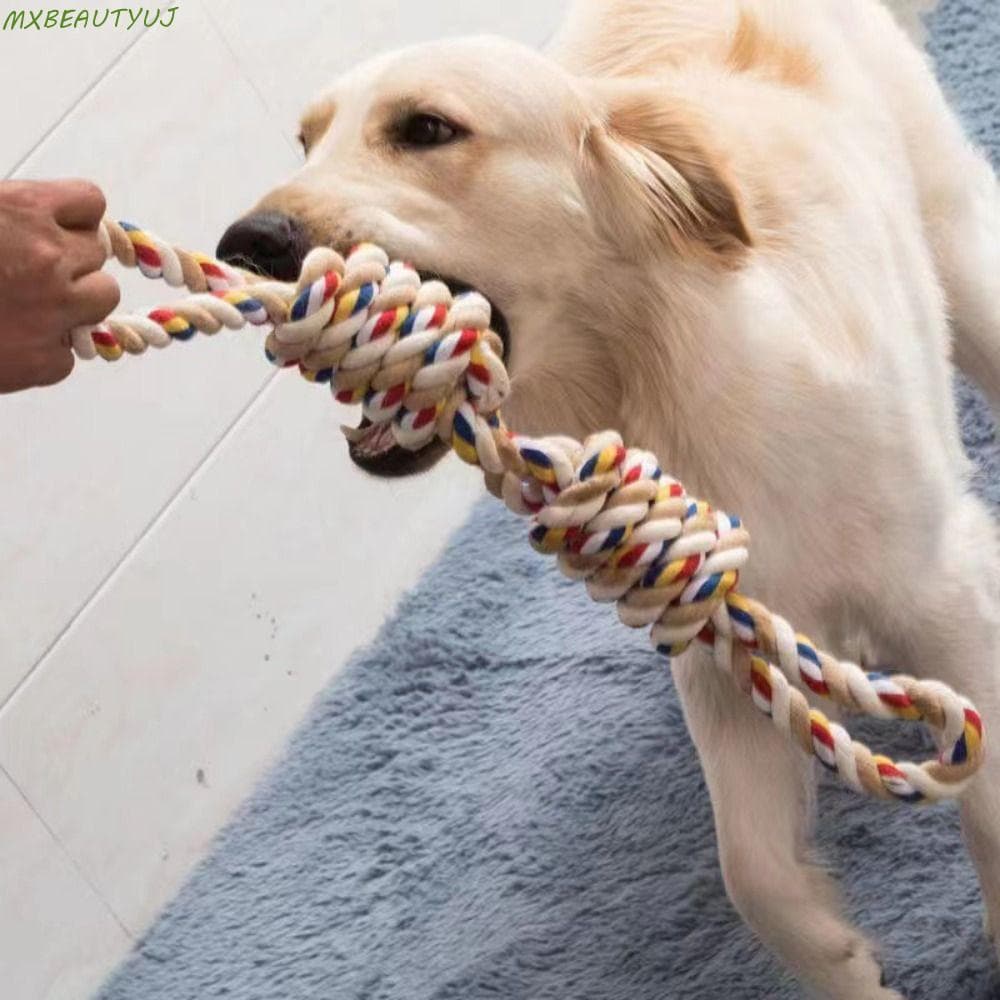Brinquedo De Corda De Algodão Para Cães , Brinquedos Interativos Mordida De Cachorro , Resistente À Colorido Molares Ani