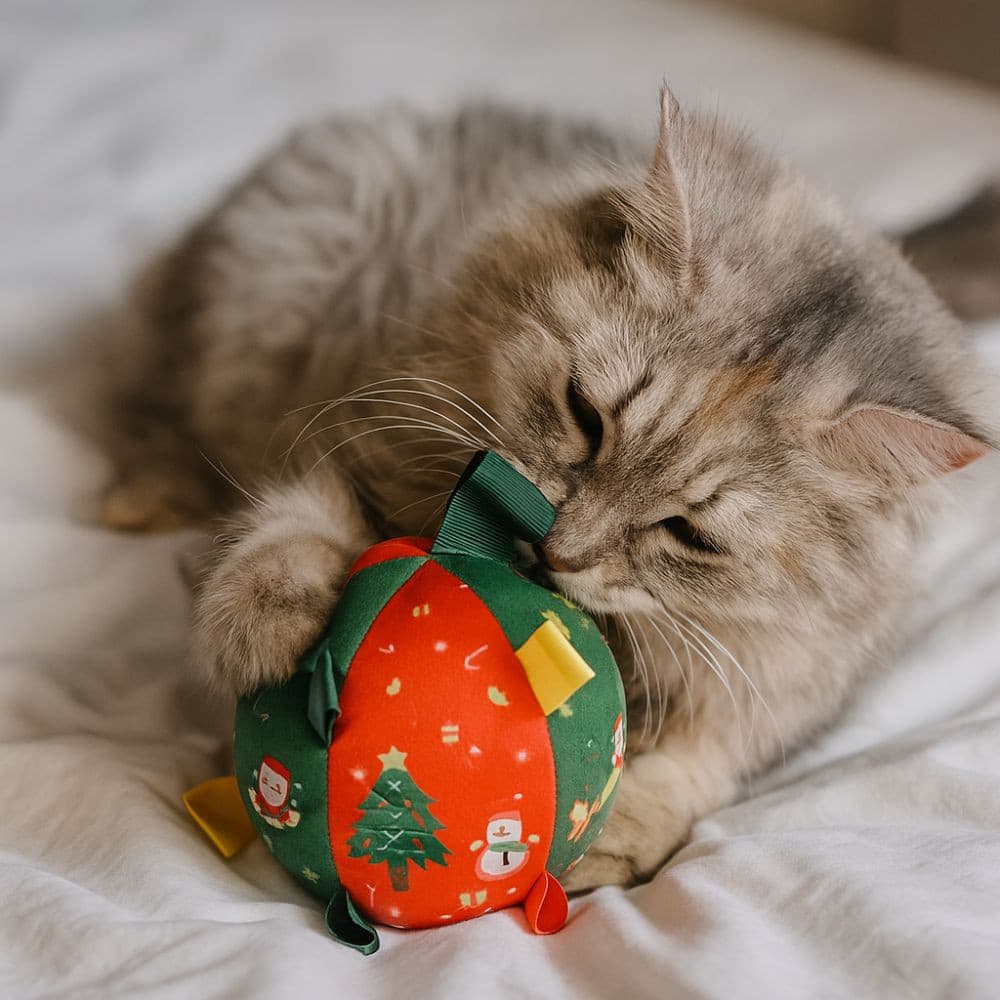 Brinquedo De Mastigar Para Cachorro , Bola Estridente De Papai Noel De Desenho Animado , Brinquedos Interativos Cães De 