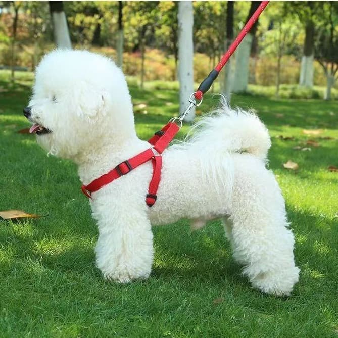 Coleira e guia para cães, arnês para animais de estimação, guia para Golden Retrievers, Teddy, cães grandes, médios e pe