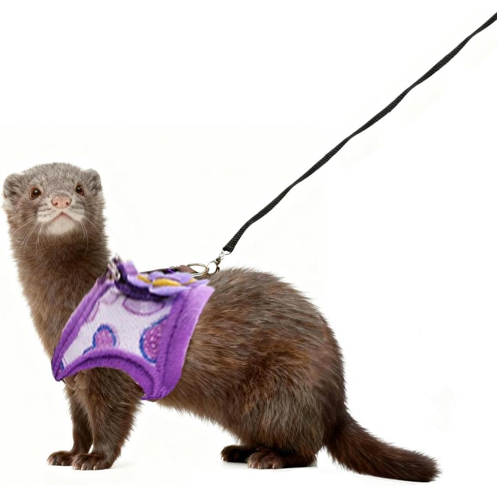 Conjunto de Coleira e Guia para Furões, Coleira Ajustável para Furões, Coleira Bonita para Pequenos Animais como Porquin