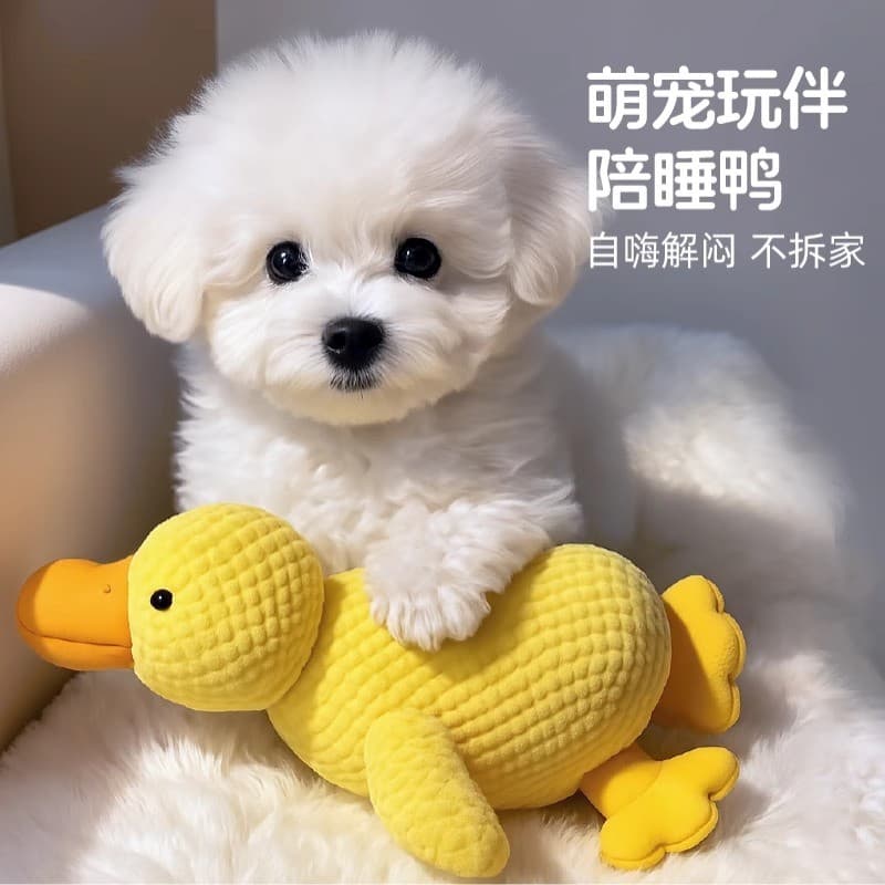 Brinquedo para cachorro de pelúcia, pato dormindo, resistente à mordida, brinquedo Molar, pequeno, médio porte, voz para
