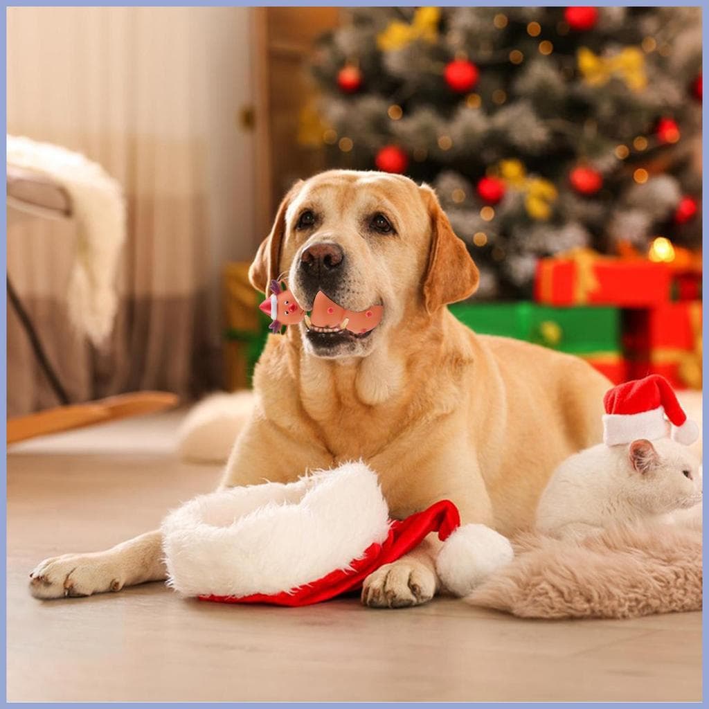 Brinquedos Para Cães De Natal , 3 Peças , Tema Enriquecimento Engraçado E Estridente , Brinquedo Cachorro , Animal De Es