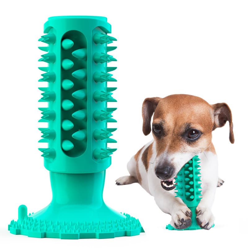 Vara Molar para cachorro, brinquedo para limpeza de dentes de animais de estimação, brinquedo para cachorro com ventosa,