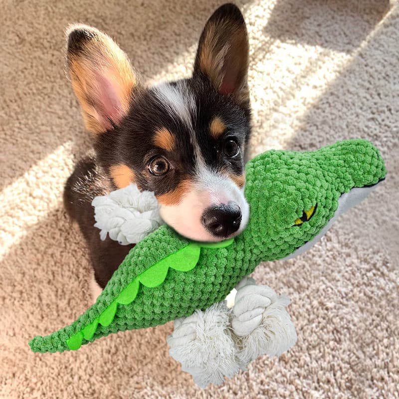 Brinquedo para cachorro nó crocodilo filhote de cachorro Molar resistente à mordida Teddy Bichon Corgi filhote de cachor
