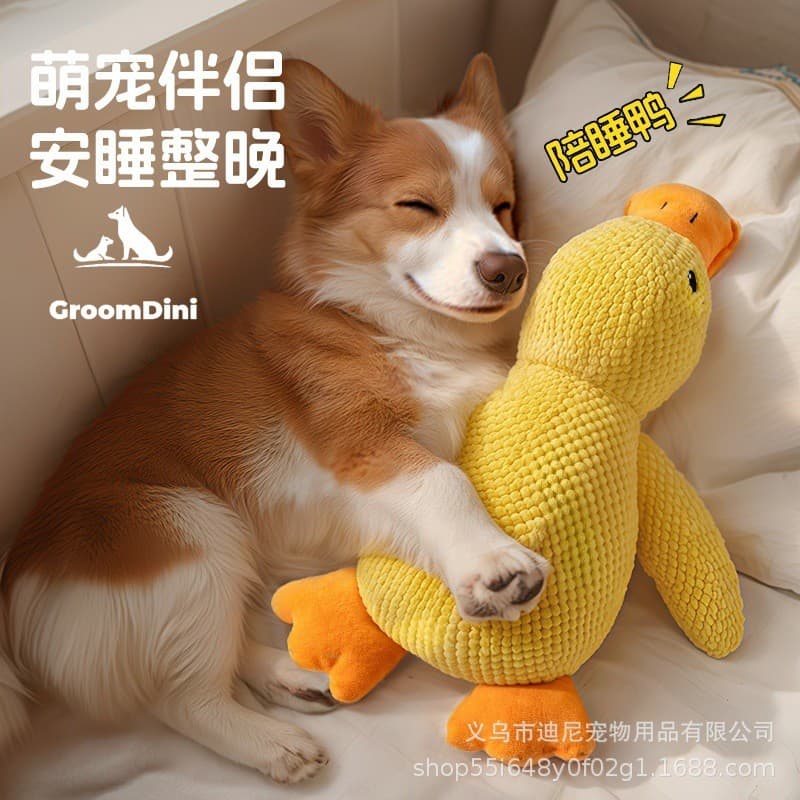 Filhote de cachorro brinquedo do cão pato mordida-resistente brinquedo filhote de cachorro voz aliviar o tédio cão Frisb
