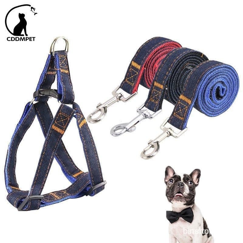 Coleira ajustável para cães, coleira de ganga com guia, adequada para raças de cães pequenas e grandes, como Teddy e Pug