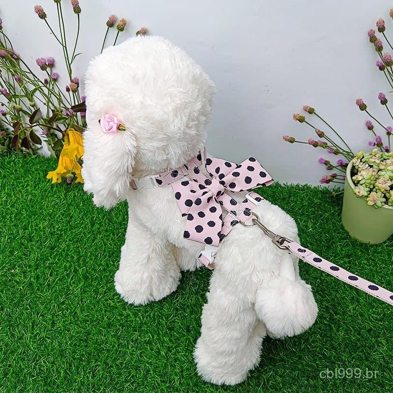 Coleira para cães pequenos, guia para cães estilo colete, guia para gatos, guia para passeio de cães, coleira ajustável.