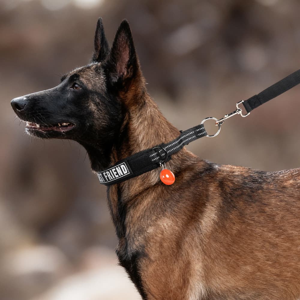 Nova Coleira Refletiva e Respirável para Cães, Coleira Anti-Choque Semi-P, Conjunto Especial de Coleira e Guia para Trei