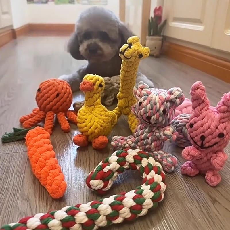 Brinquedo para cachorro, corda de algodão, pato, brinquedo para animais de estimação, nó de limpeza de dentes, Bichon, c