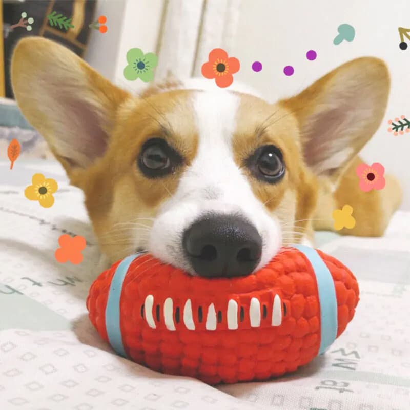 Brinquedo para cachorro voz Rugby filhote de cachorro Molar resistente à mordida consumo físico Samoyer Corgi Golden Ret