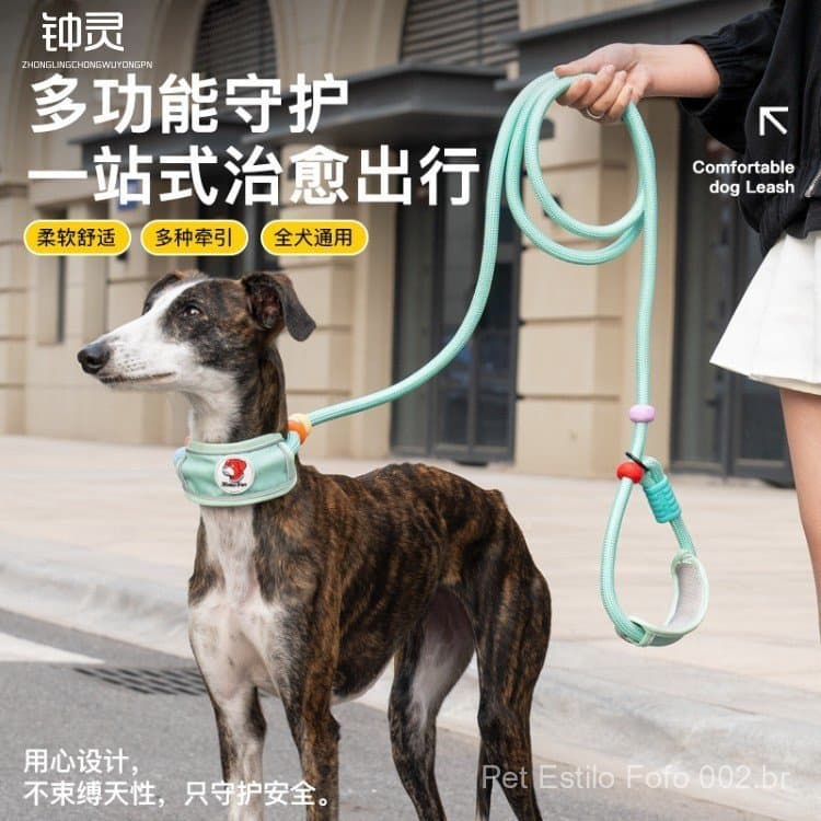 Coleira anti-estrangulamento para cães, guia para passear cães, coleira para cães de médio e grande porte, coleira em P 