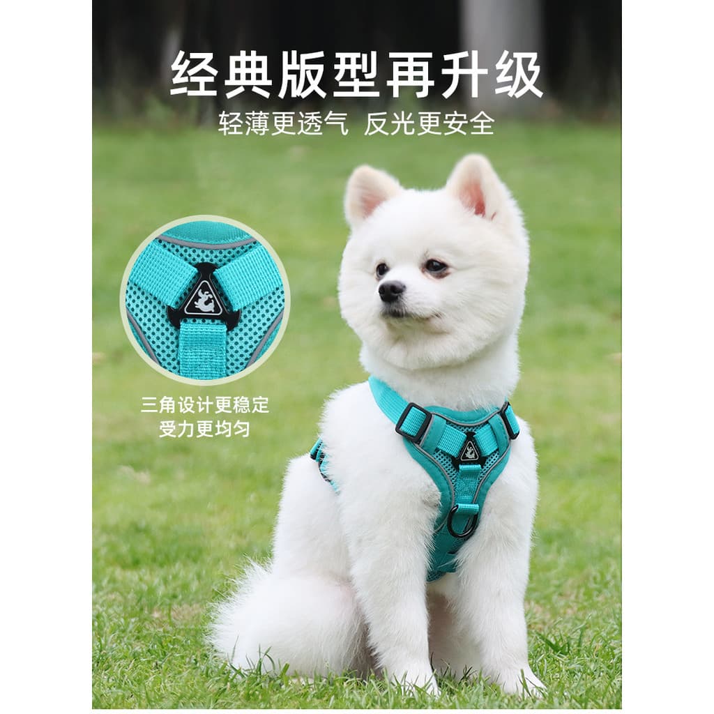 Coleira para cães estilo colete, arnês para gatos, reflexivo e respirável, guia para passeio de gatos, guia para filhote