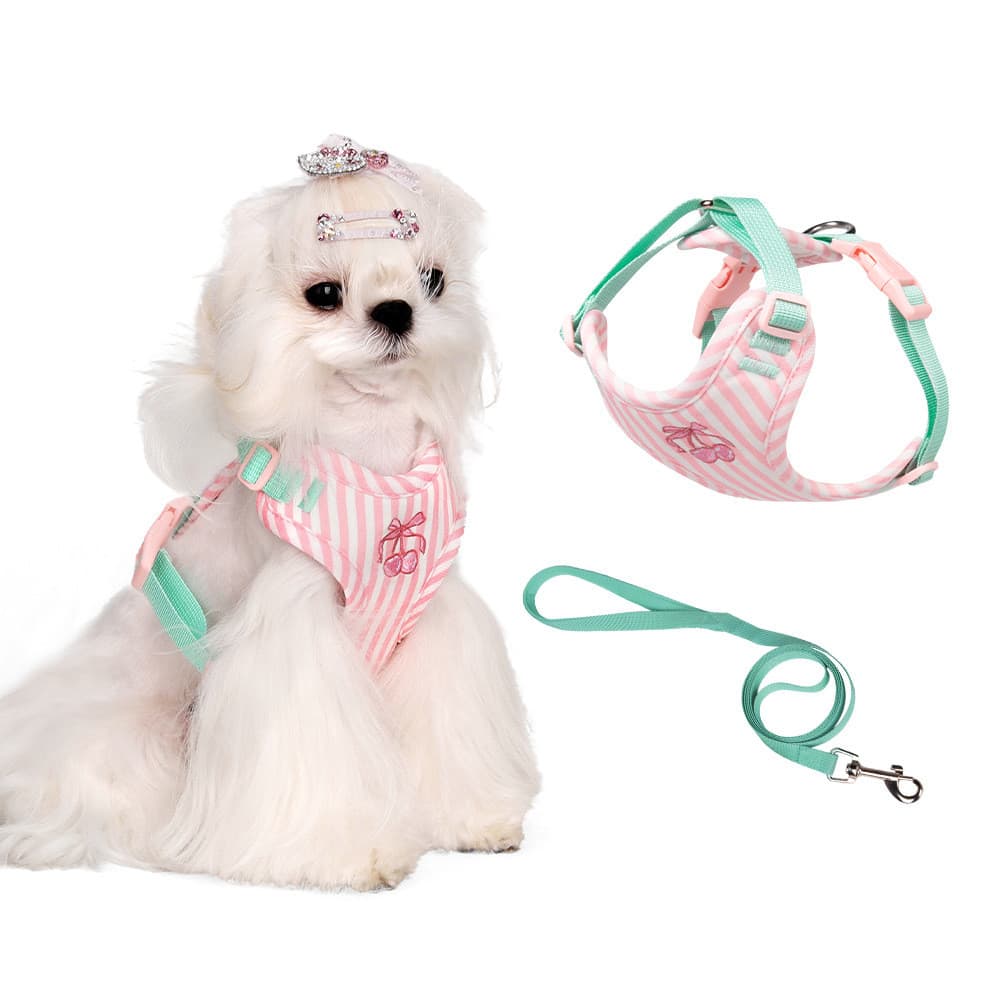 Coleira e Guia Estilo Colete para Cães Pequenos, Guia Anti-Fuga e Bonita para Cães de e Médio Porte, Coleira par