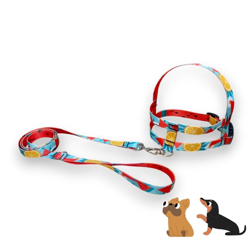 Coleira Peitoral com Guia Passeio para Cachorro Cães Regulável Seda Estampada