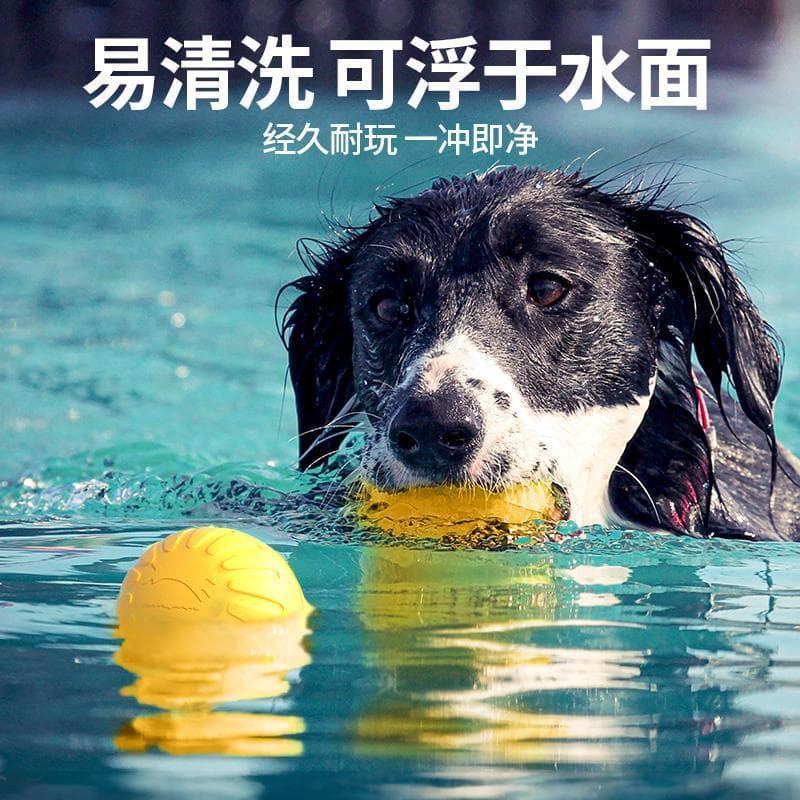 [Desconto de novo produto] Brinquedo para animais de estimação EVA não pode morder cachorro mau Frisbee brinquedo para c
