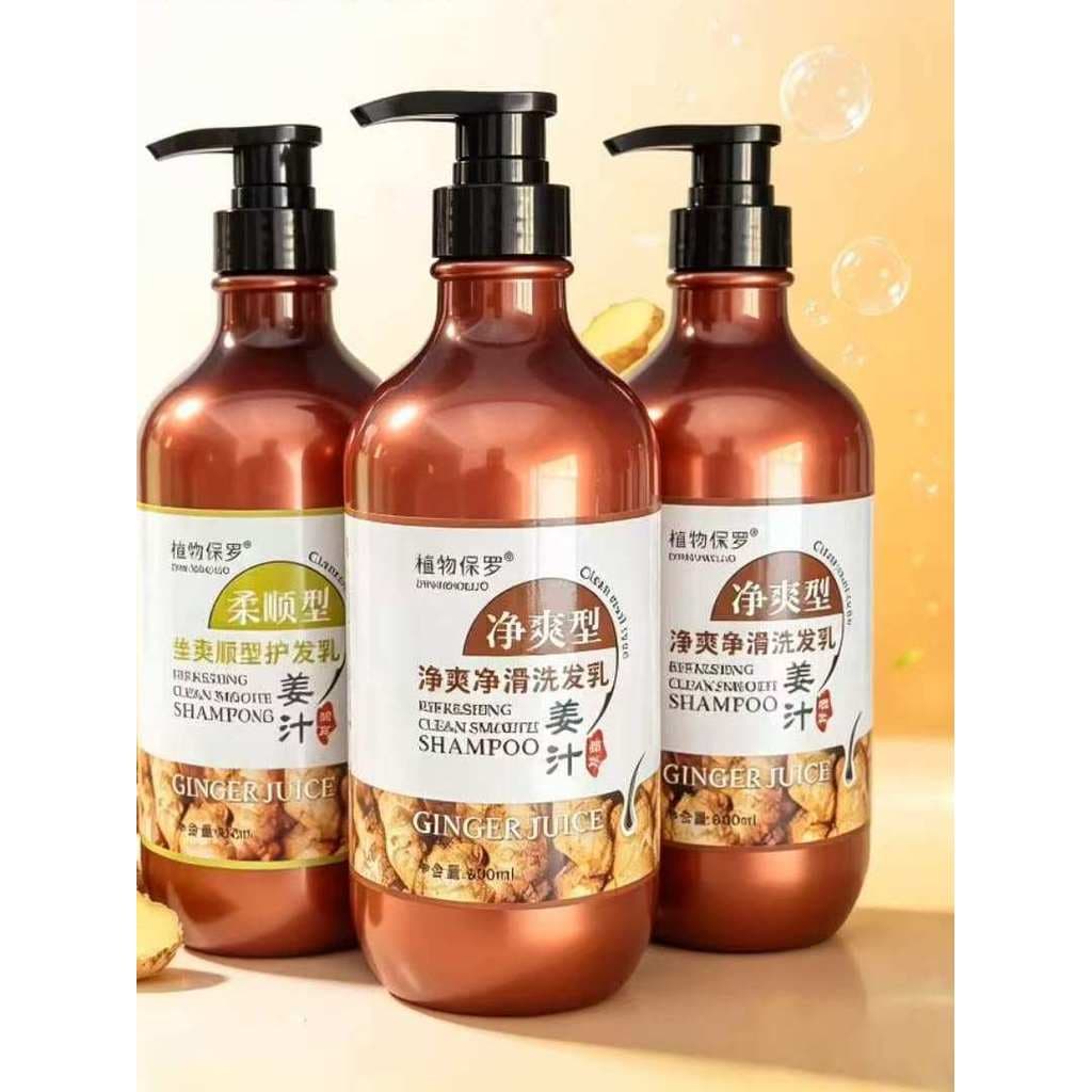 Planta Paul refrescante suave velho suco de gengibre gengibre hidratante condicionador Shampoo controle de óleo anti-cas