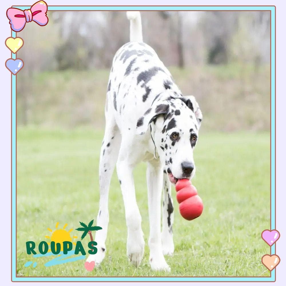 Brinquedos Para Cães ROUPAS Kong , Clássicos Cachorros Brinquedo De Mastigar Com Salto Errático De Borracha Durável