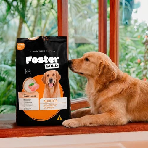 Ração Para Cachorro Raças Grandes Frango Arroz 5kg Foster