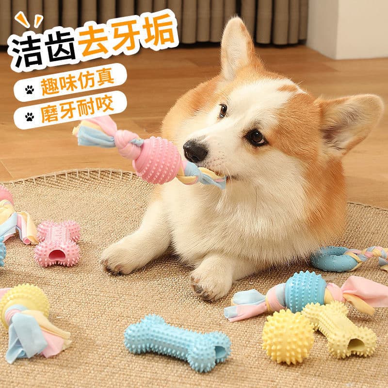 Brinquedo TPR resistente à mordida para cães de estimação, palito para morder para cachorros, brinquedo para limpeza dos