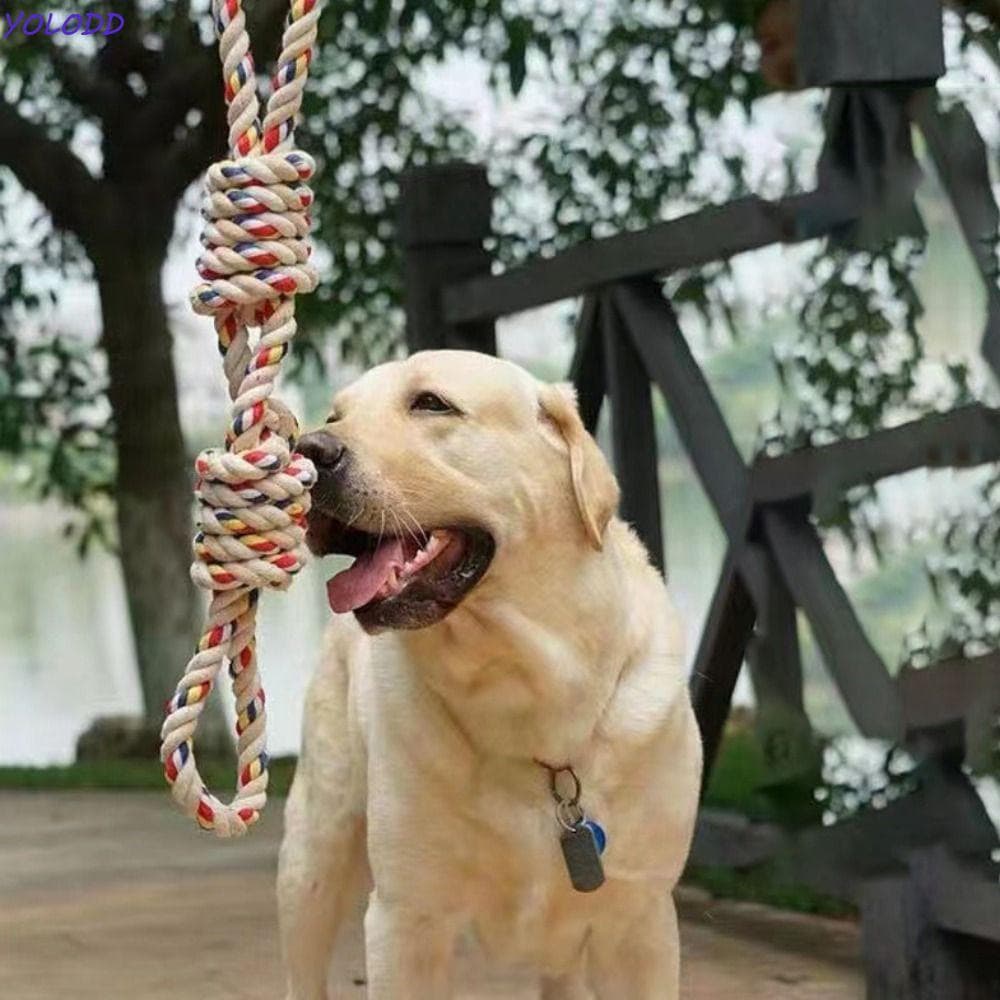 YOLODD Brinquedo De Nó De Corda De Cachorro , Brinquedos Interativos Para Mordida Algodão Resistente À , Ao Desgaste