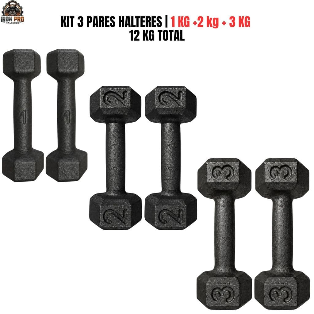 Kit Halter Sextavado Pintado 1 2 e 3 kg 3 Pares 12 kg Total Fisioterapia Musculação Academia CrossFit Treino Funcionall