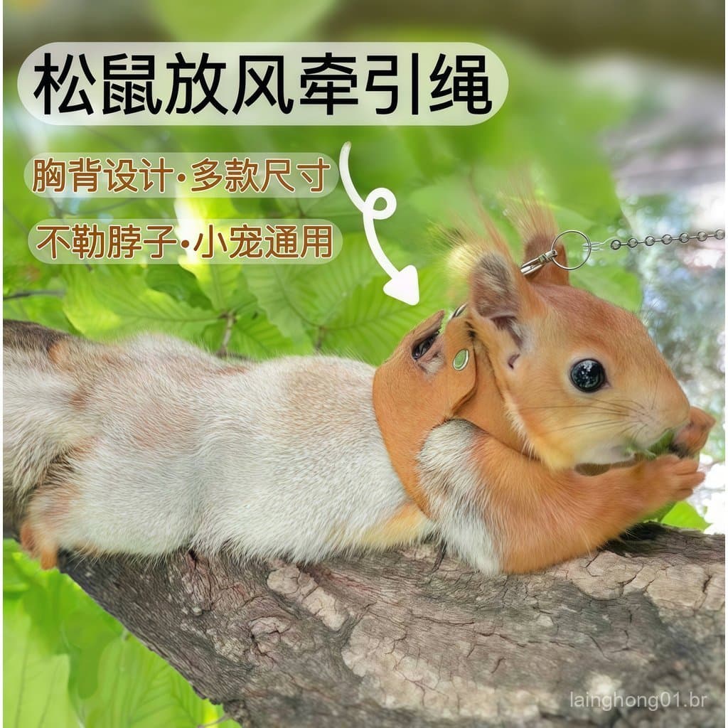 Coleira e guia para esquilo, hamster dourado, sugar glider, ratinho de flor, corda anti-perda, coleira de pescoço, guia 
