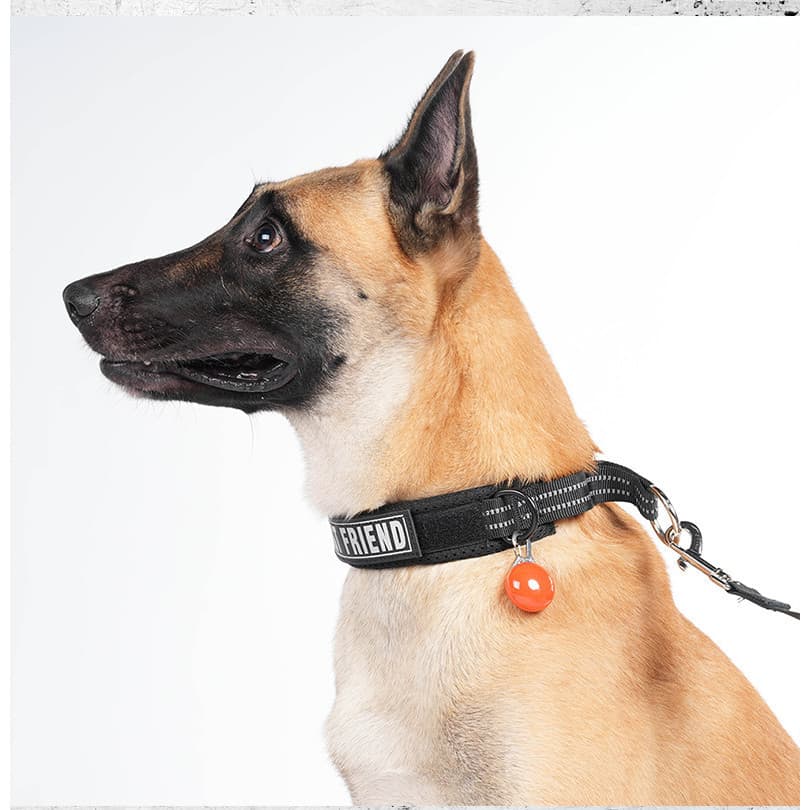 Nova Coleira Refletiva e Respirável para Cães, Coleira de Treinamento Anti-Puxão, Conjunto de Coleira e Guia para Cães d