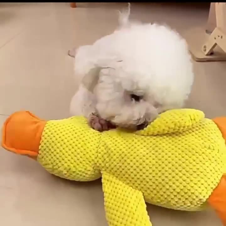 Brinquedo de pelúcia para cachorro, resistente à mordida, dormir com voz, filhote de cachorro, tédio, ferramenta útil, G